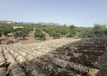 Rustic Contrada Chiana Scunchipani, Sciacca - photo 17