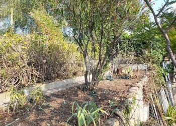 Villa a Schiera Località Poggio, Cervo - foto 36