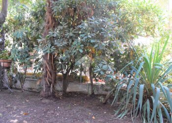 Bilocale Via Alfieri, Riccione - foto 17