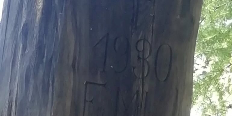 Baita Gressoney-Saint-Jean - foto 2