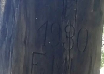 Baita Gressoney-Saint-Jean - foto 2