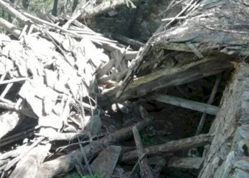 Baita Gressoney-Saint-Jean - foto 7