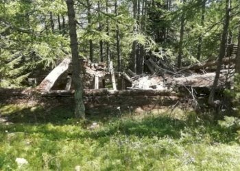 Baita Gressoney-Saint-Jean - foto 10