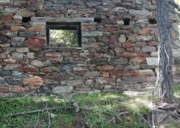 Baita Gressoney-Saint-Jean - foto 21