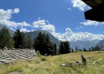 Baita Gressoney-Saint-Jean - foto 25