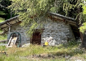 Baita Gressoney-Saint-Jean - foto 37
