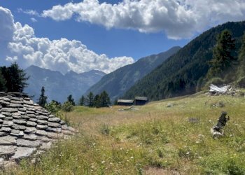 Baita Gressoney-Saint-Jean - photo 21