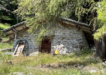 Baita Gressoney-Saint-Jean - photo 37