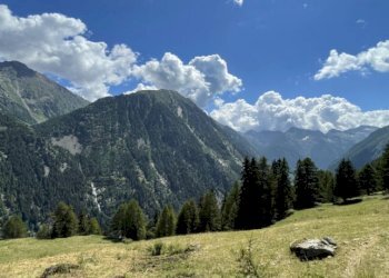 Baita Gressoney-Saint-Jean - photo 39