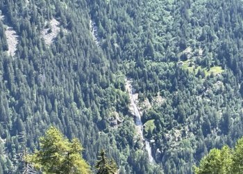 Baita Gressoney-Saint-Jean - photo 40
