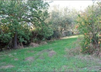DSC_5959.jpg - Rustico C.DA SCARDACUCCO, Modica - foto 8