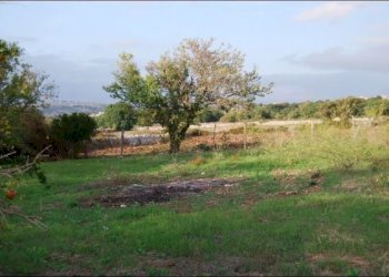 DSC_5960.jpg - Rustico C.DA SCARDACUCCO, Modica - foto 7