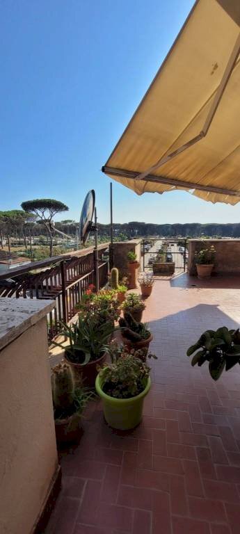 Balcone - Monolocale via del Biancospino, 2, Anzio - foto 3