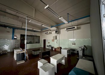 Capannone Calderara di Reno - foto 2