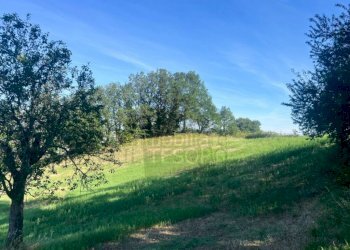 Esterno - Rustico strada Sant'Antimo, San Leo - foto 7