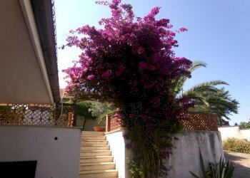 giardino - Villa via Belvedere, 51, Anzio - foto 22