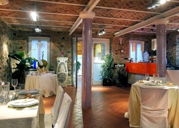 vi3.jpg - Casale Villafranca in Lunigiana - foto 15