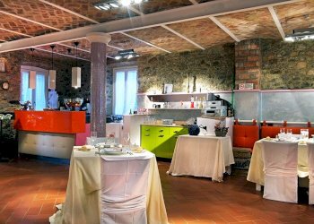 vi6.jpg - Casale Villafranca in Lunigiana - foto 18
