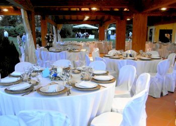 vi8.jpg - Casale Villafranca in Lunigiana - foto 20