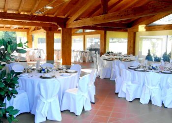vi9.jpg - Casale Villafranca in Lunigiana - foto 21