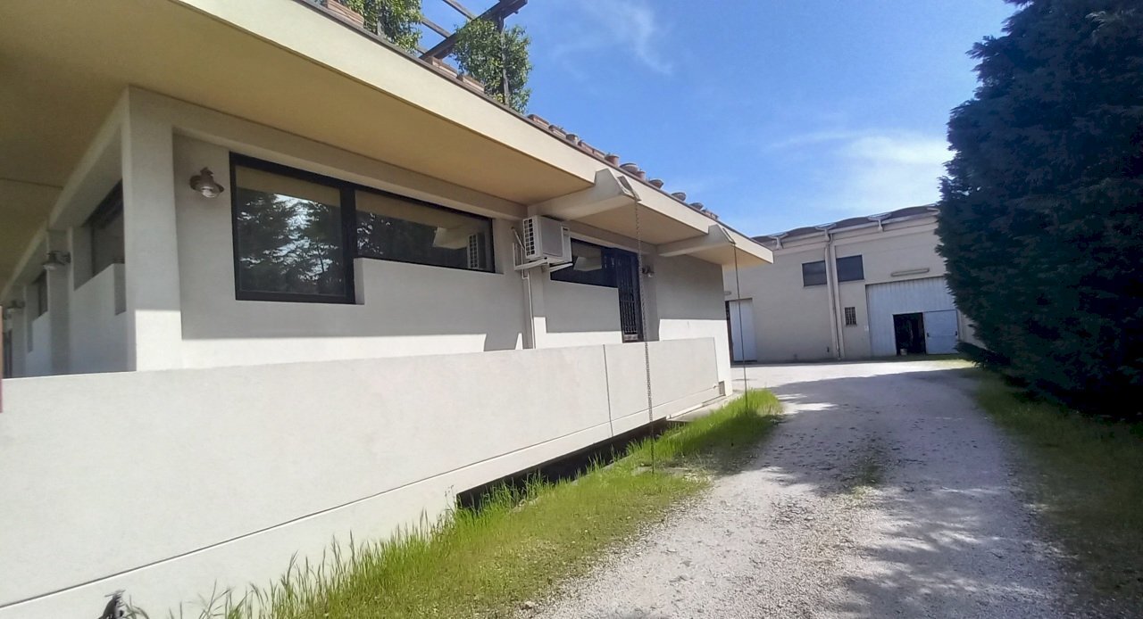 20240411_120515.jpg - Locale Commerciale Mogliano Veneto - foto 2