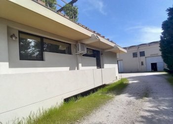 20240411_120515.jpg - Locale Commerciale Mogliano Veneto - foto 2