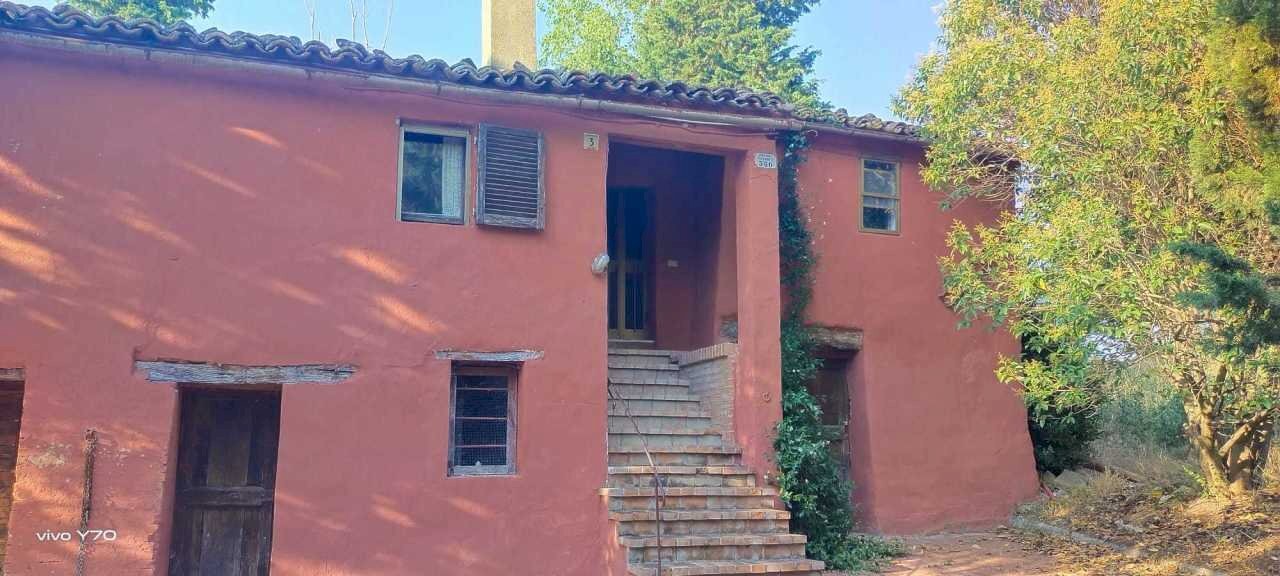 WhatsApp Image 2024-07-09 at 18.13.56.jpeg - Casale contrada fossato, Montecarotto - foto 2