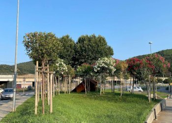 Appartamento via Piave, Vado Ligure - foto 17