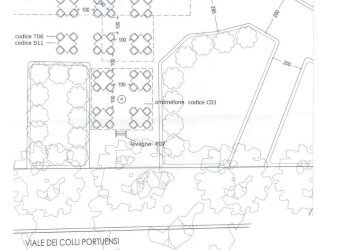 Commercial Activity Viale Dei Colli Portuensi, Roma - photo 13