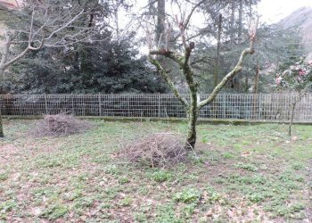 giardino - Rustico via Provinciale 24, Lumarzo - foto 12