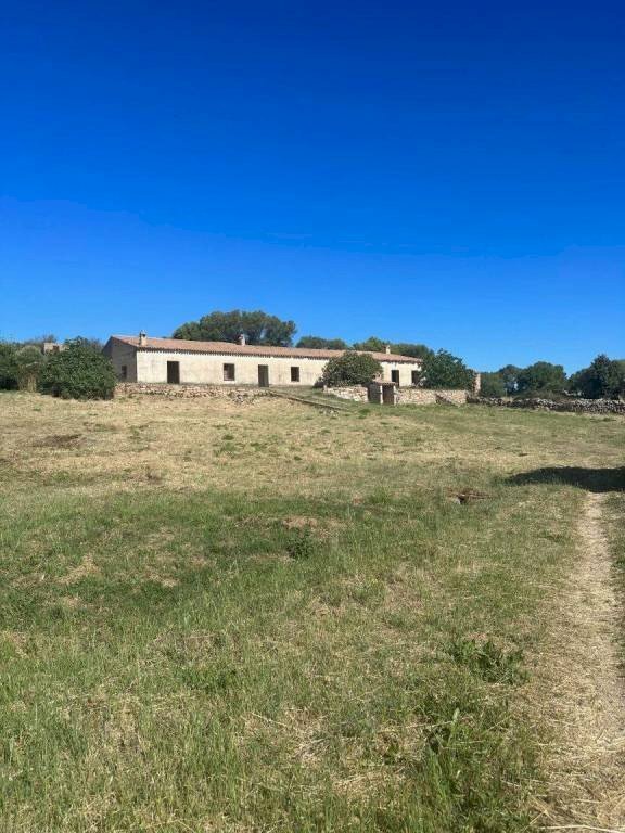 Terreno - Rustico via Lu Suiddatu, Olbia - foto 2