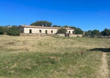 Terreno - Rustico via Lu Suiddatu, Olbia - foto 2