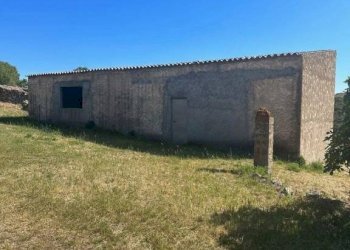 Terreno - Rustico via Lu Suiddatu, Olbia - foto 5