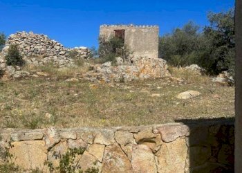 Terreno - Rustico via Lu Suiddatu, Olbia - foto 6