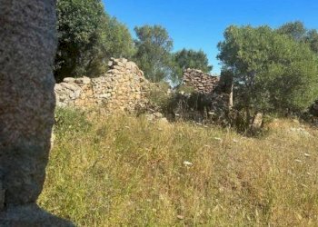 Terreno - Rustico via Lu Suiddatu, Olbia - foto 26