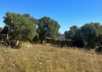 Terreno - Rustico via Lu Suiddatu, Olbia - foto 27