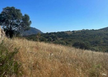 Terreno - Rustico via Lu Suiddatu, Olbia - foto 29