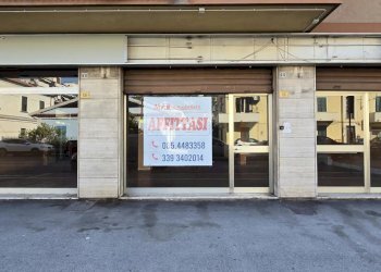 Negozio Via Nazionale Adriatica Nord, Pescara - foto 2