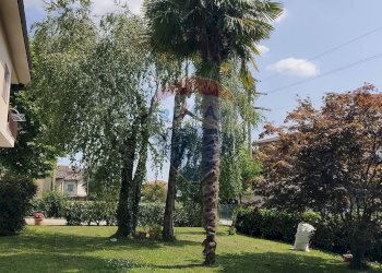 Villa Unifamiliare Ranica - foto 3