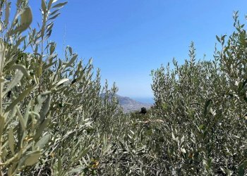 Single Family Villa via Eva Peron, Monreale - photo 22