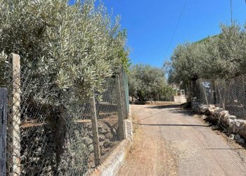 Single Family Villa via Eva Peron, Monreale - photo 29