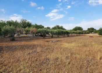 20220714_180313_compress83.jpg - Villa Strada Provinciale 40, Scicli - foto 9