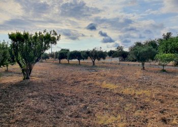 20220714_180317_compress36.jpg - Villa Strada Provinciale 40, Scicli - foto 10