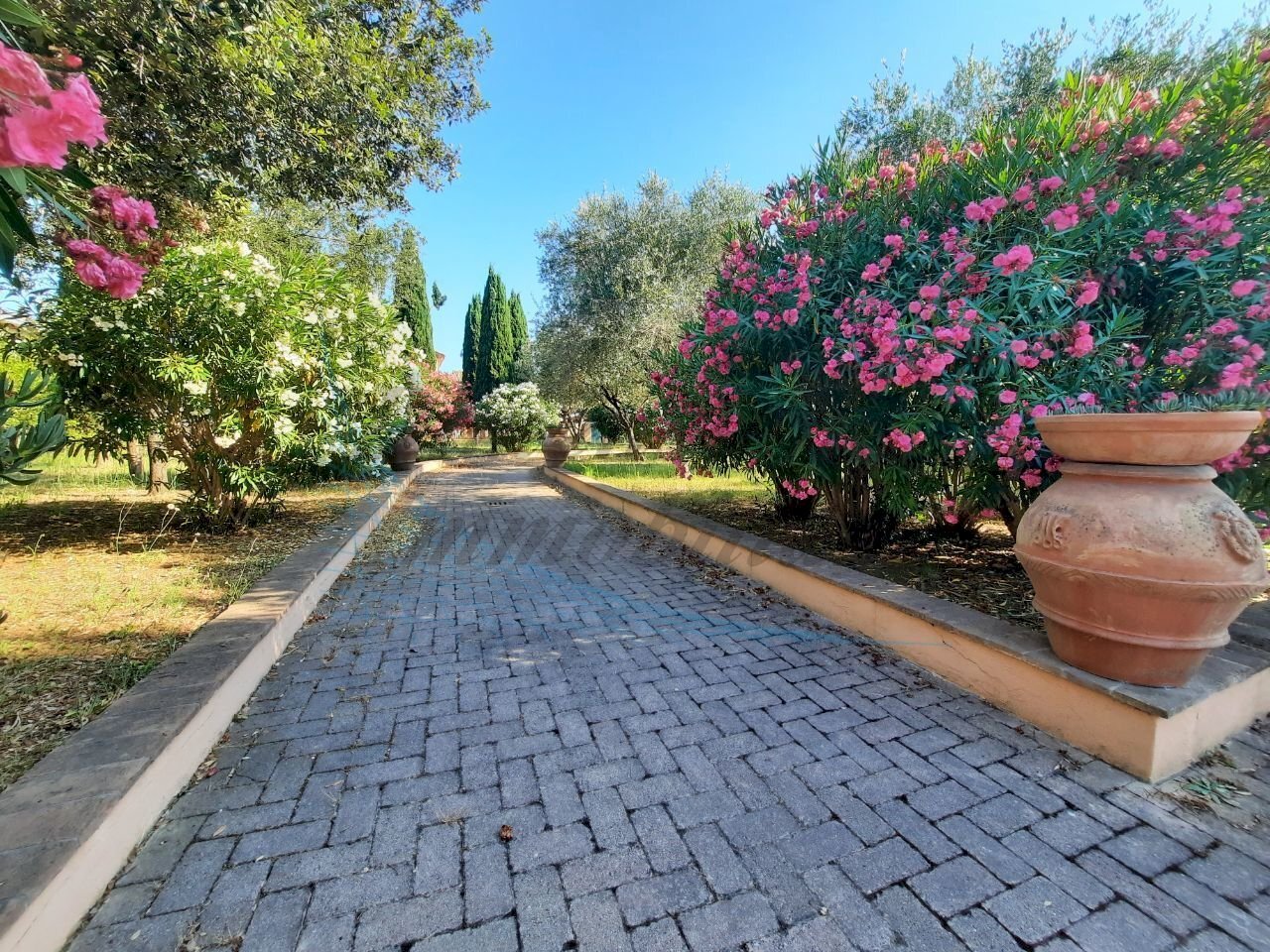 photo_5812084285253992664_y.jpg - Casa indipendente Via Sin le Noble, Cecina - foto 3