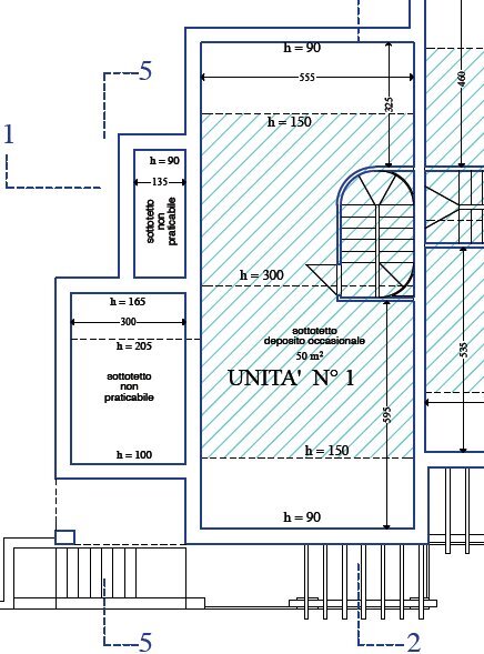 mansarda 1.png - Terratetto - Terracielo Luni - planimetria 1