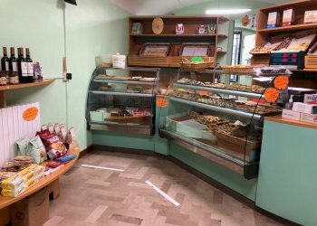 interno - Shop Imola - photo 1