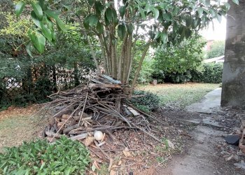 Casa indipendente Forlì - foto 8