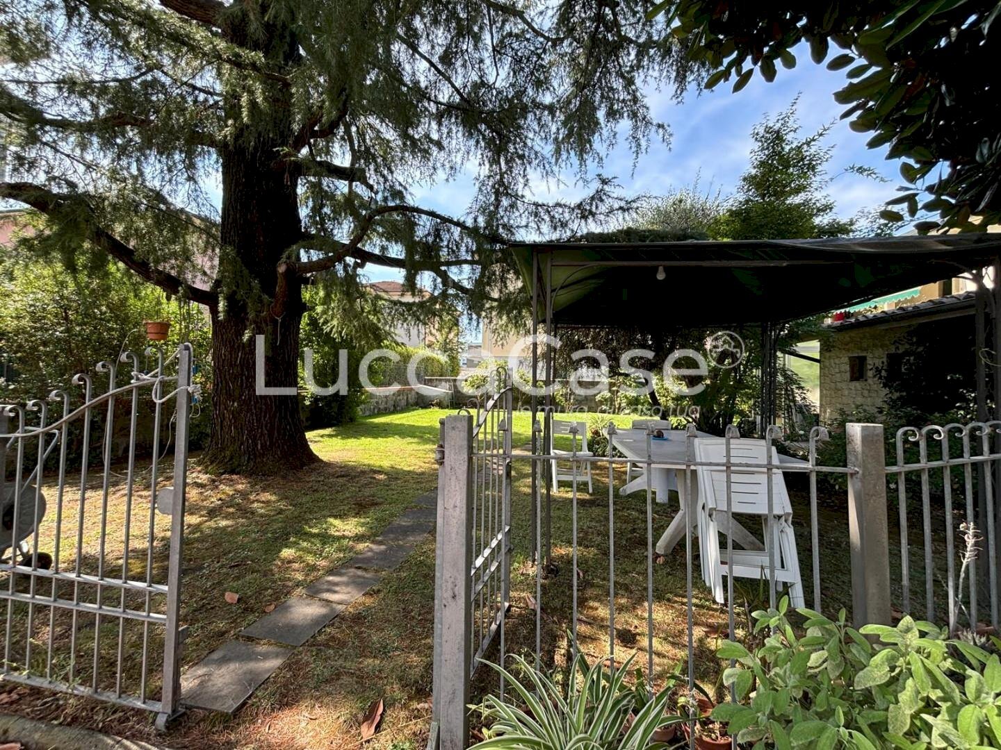 Villa Lucca (neighborhood San Donato) - photo 3