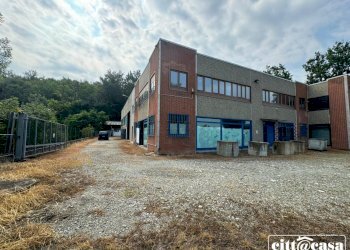 Capannone Crescentino - foto 2