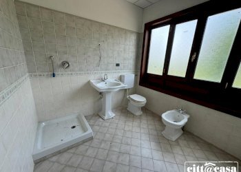 Capannone Cavagnolo - foto 33